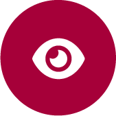 Attention to Detail Icon